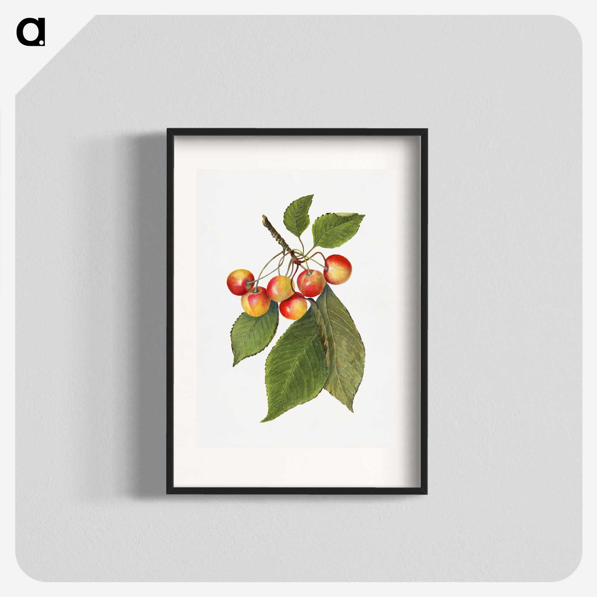 3-39_USDA-Watercolor-Fruit-Painting-Collection_blk