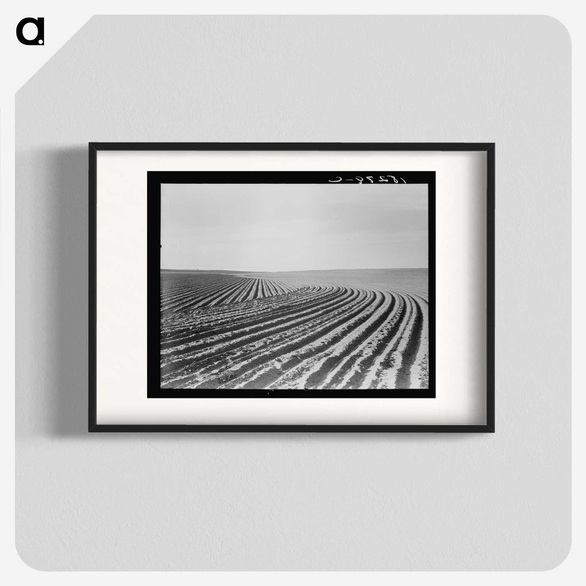 3-3_Dorothea-Lange_blk