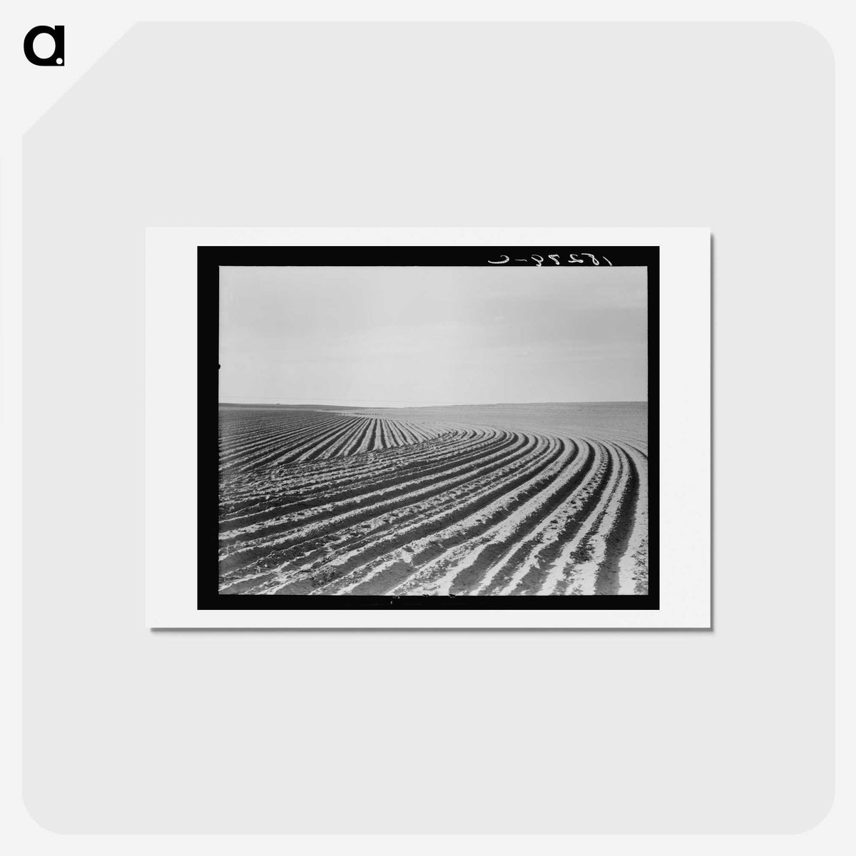 3-3_Dorothea-Lange_hagaki