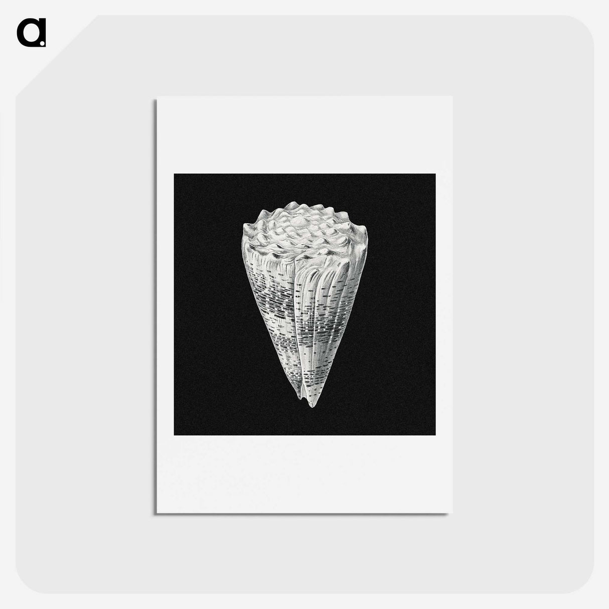 3-3_Ernst-Haeckel_hagaki