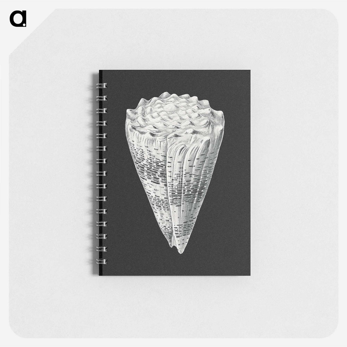 3-3_Ernst-Haeckel_memo