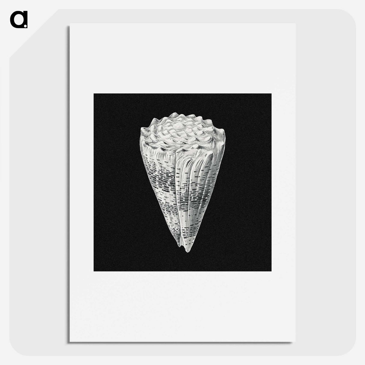 3-3_Ernst-Haeckel_picture