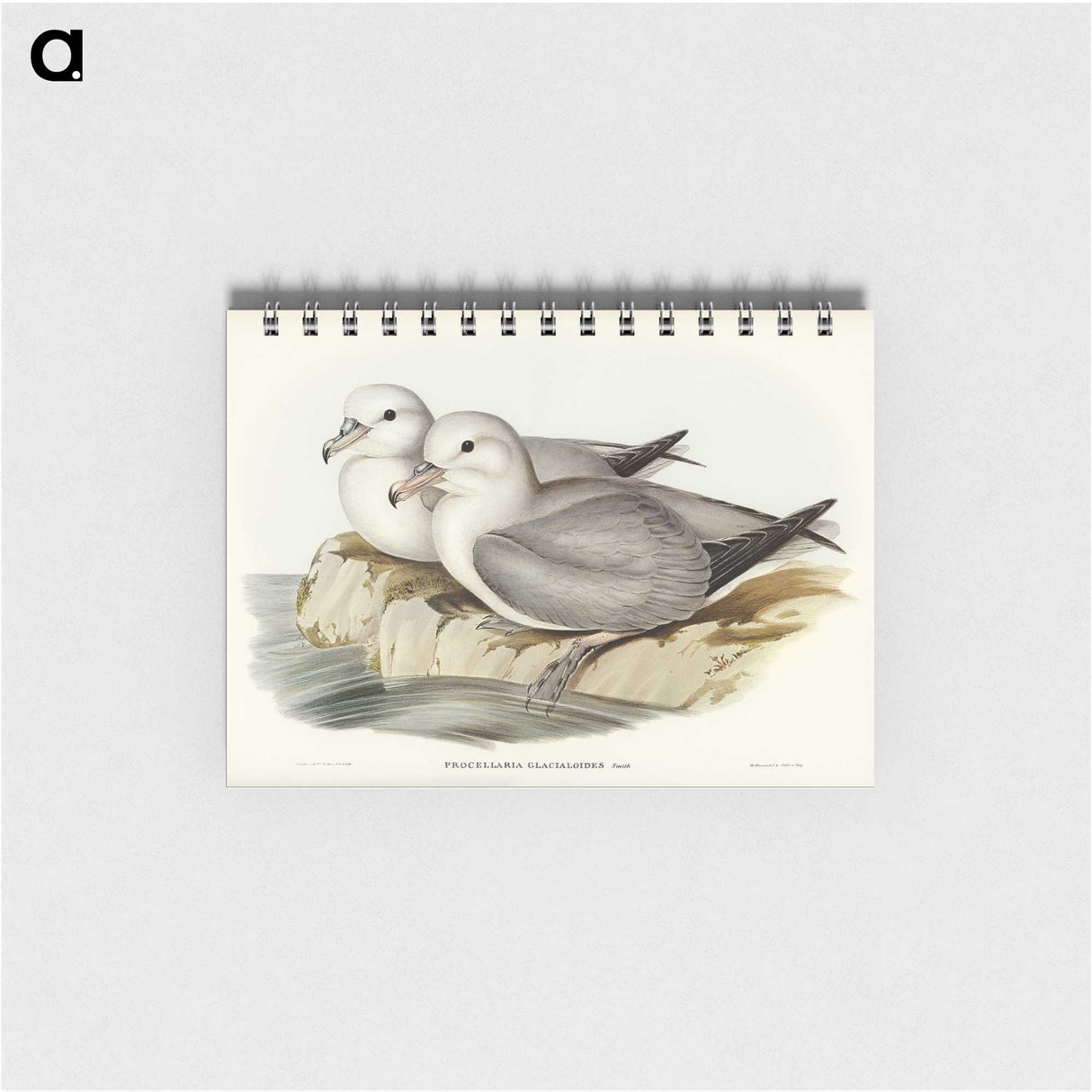 3-3_John-Gould_memo