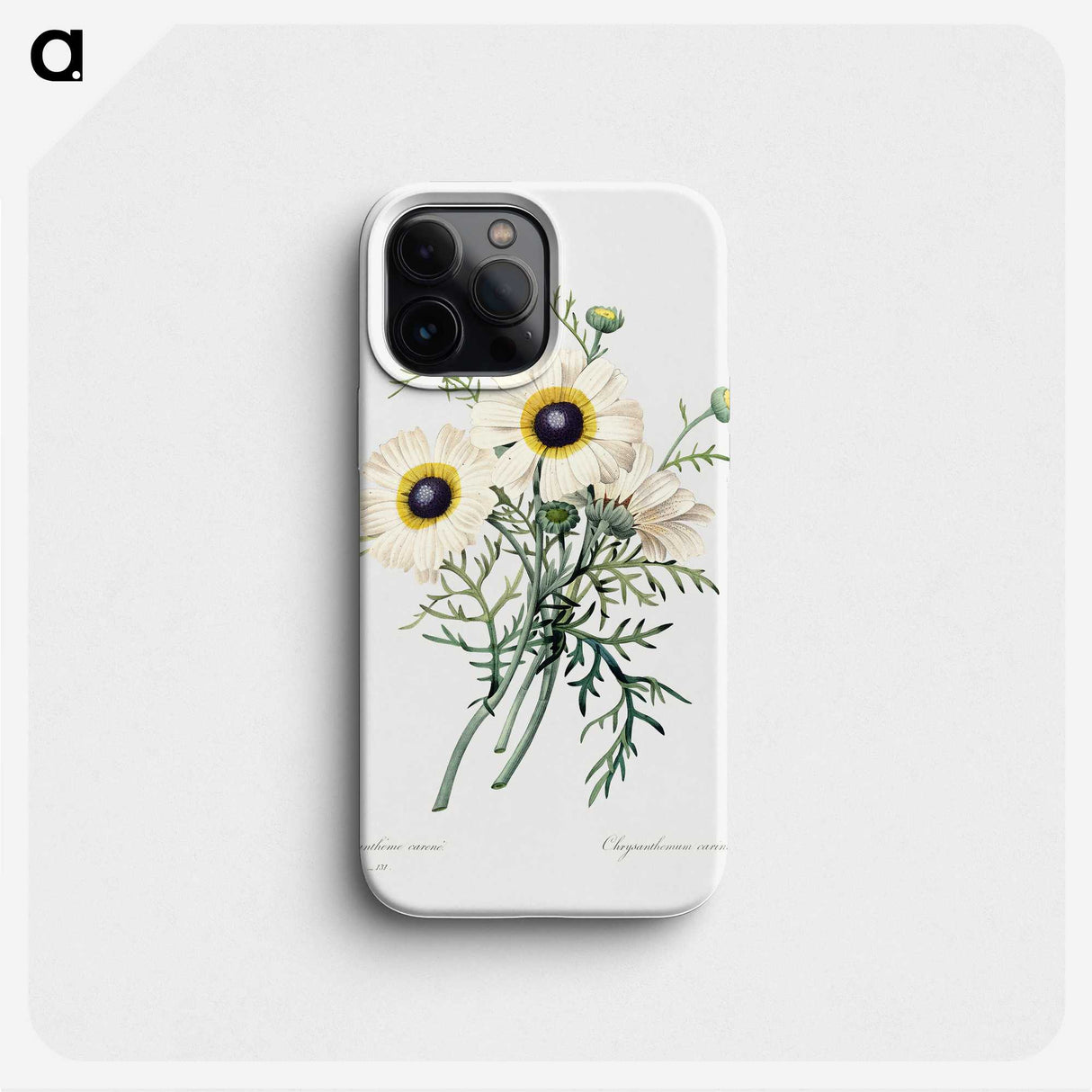 3-3_Pierre-Joseph-Redoute_phone