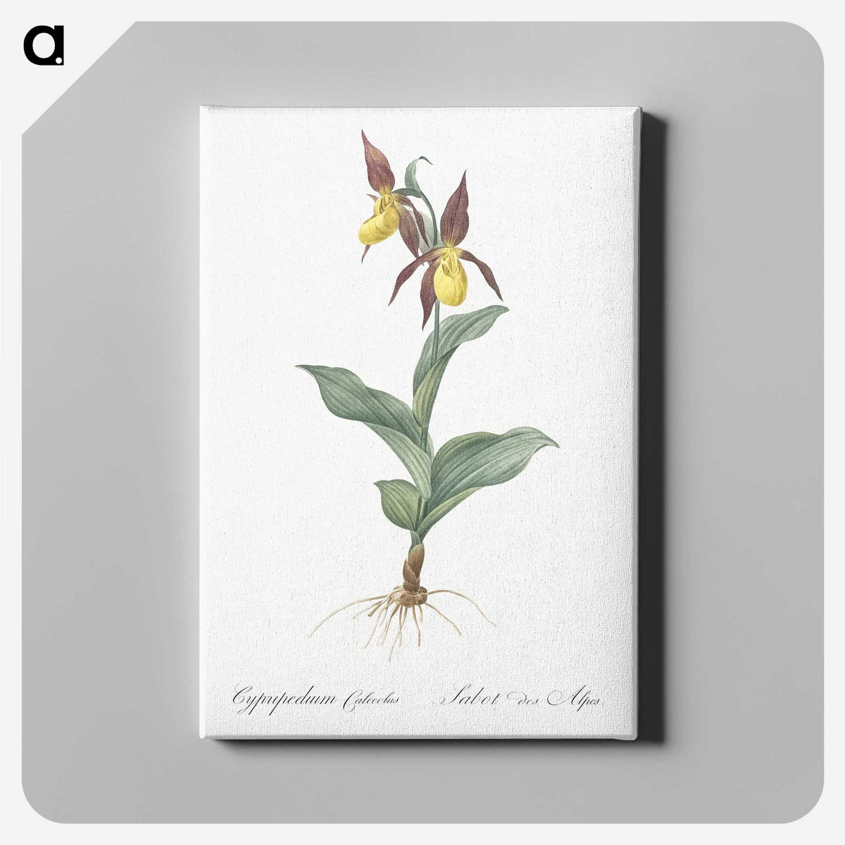 3-3_The-Lilies_canvas