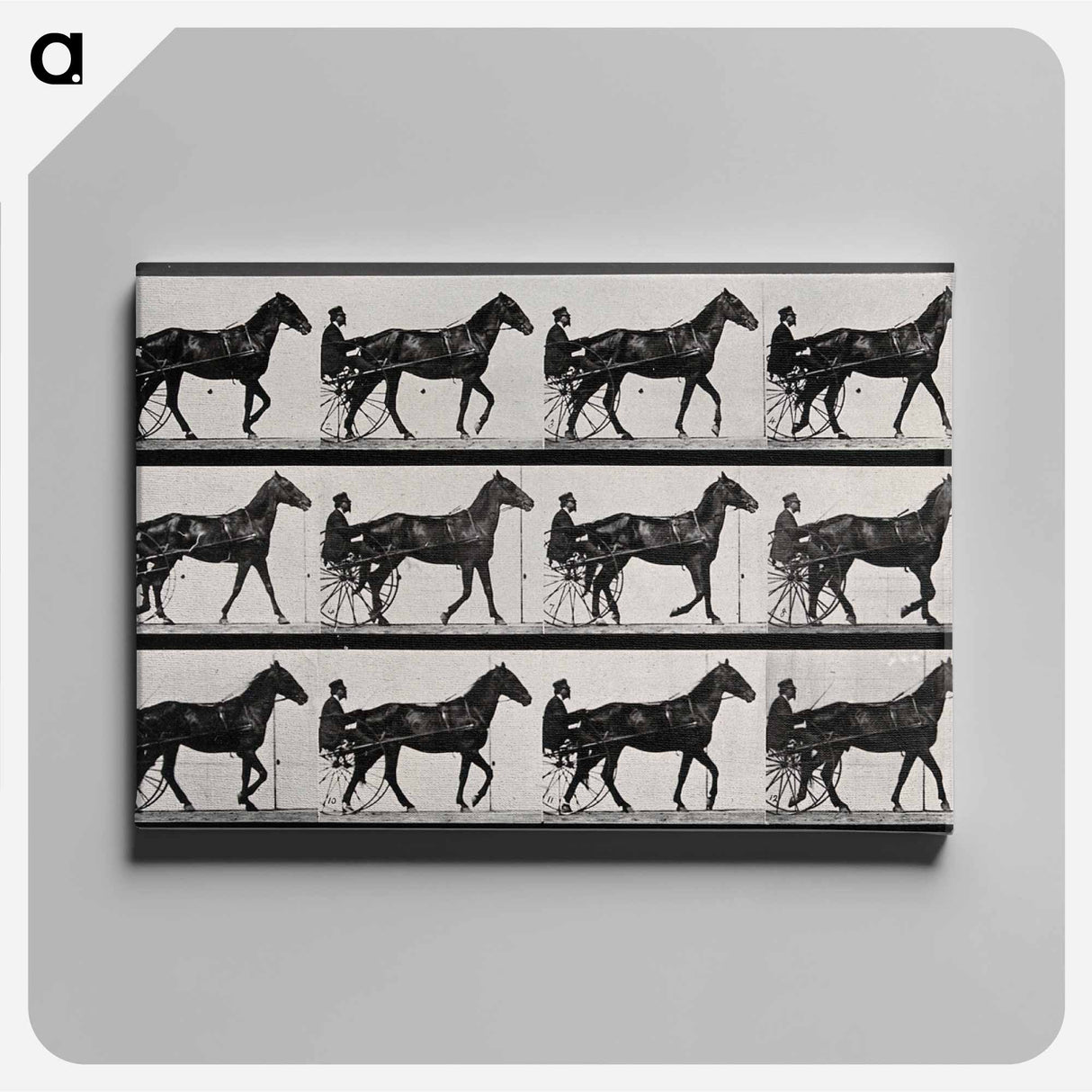 アートパネル-Chariot and Horse
- エドワード マイブリッジ Canvas.