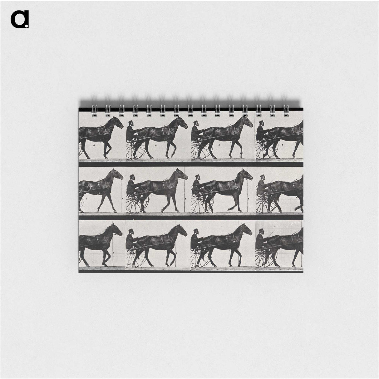 3-40_Eadweard-Muybridge_memo