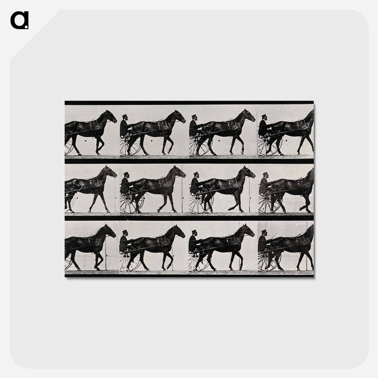 アートポストカード-Chariot and Horse
- エドワード マイブリッジ Postcard.