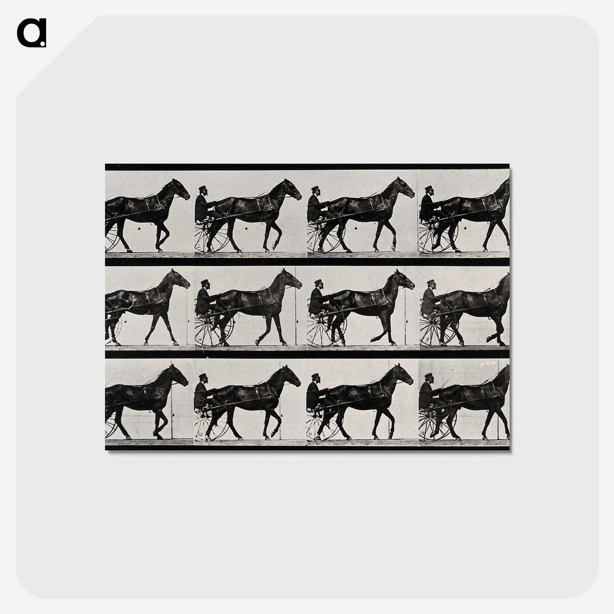 3-40_Eadweard-Muybridge_postcard