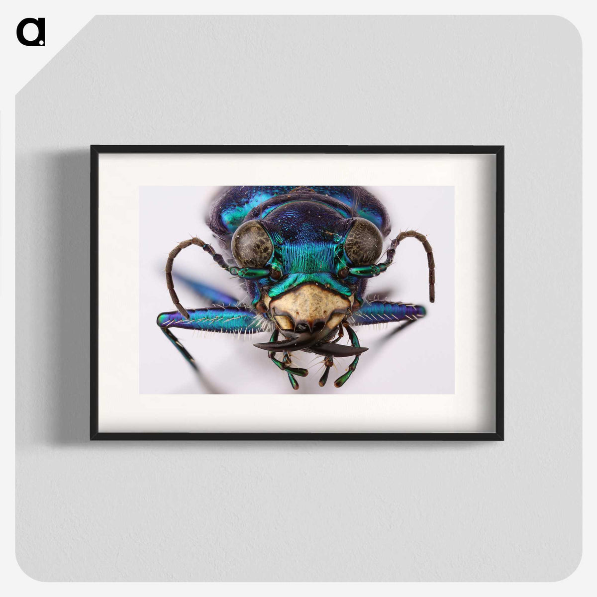 3-40_Insects-Unlocked-Project_blk
