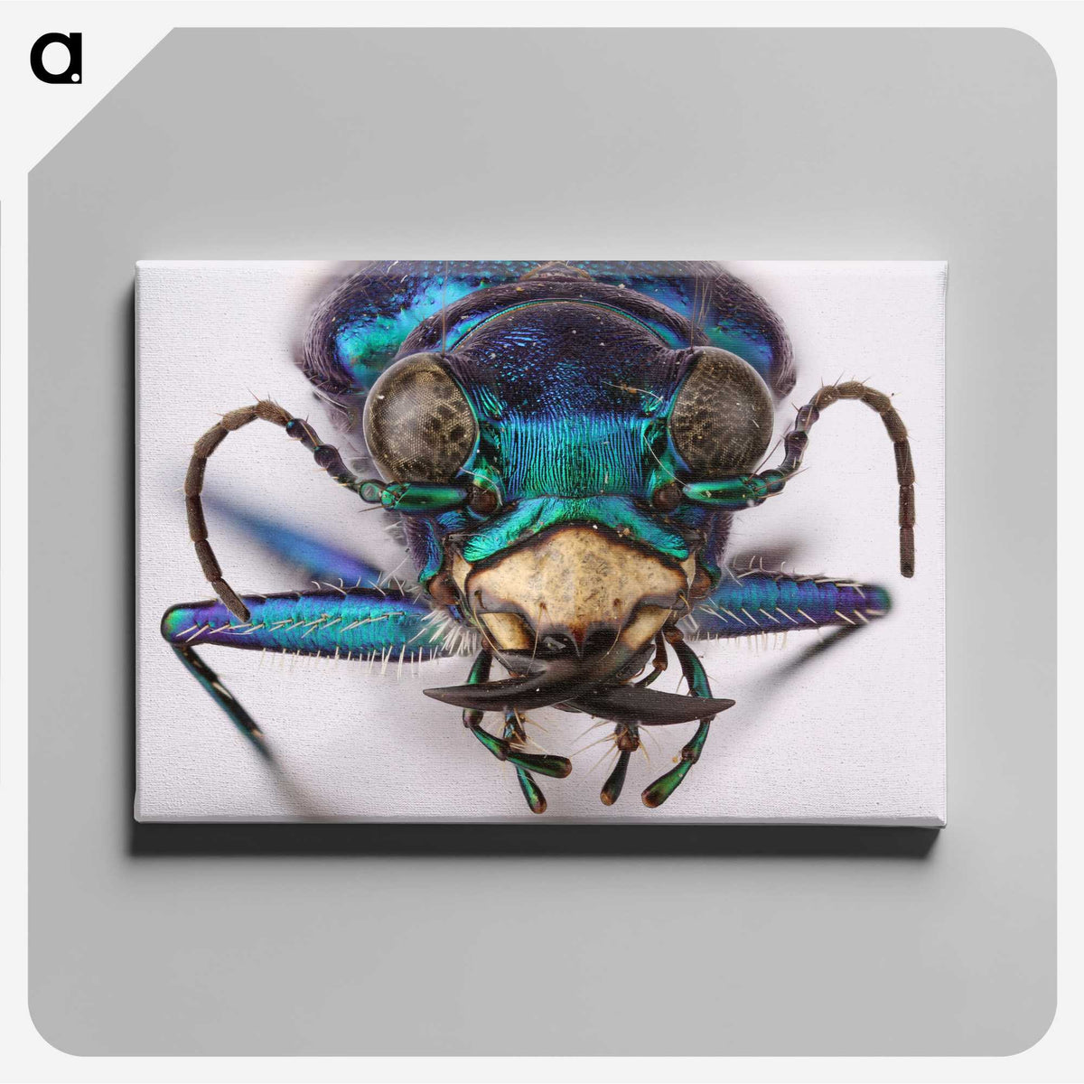 3-40_Insects-Unlocked-Project_canvas