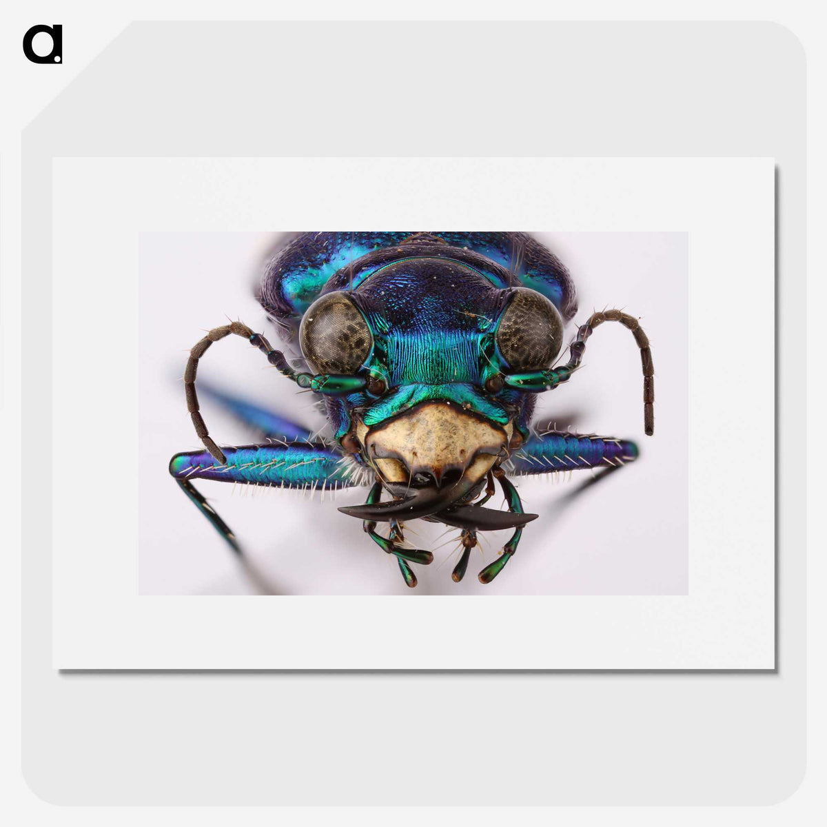 3-40_Insects-Unlocked-Project_picture