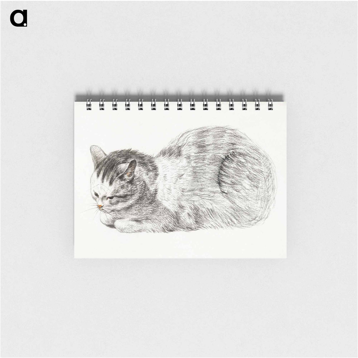 Sketch of a lying cat - ジャン ベルナール Memo.