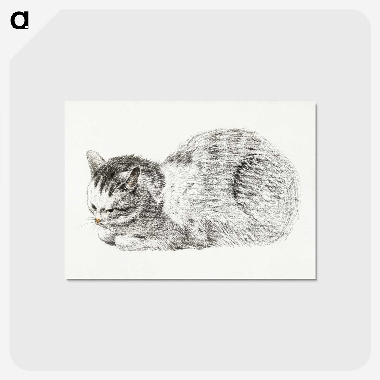 3-40_Jean-Bernard_postcard