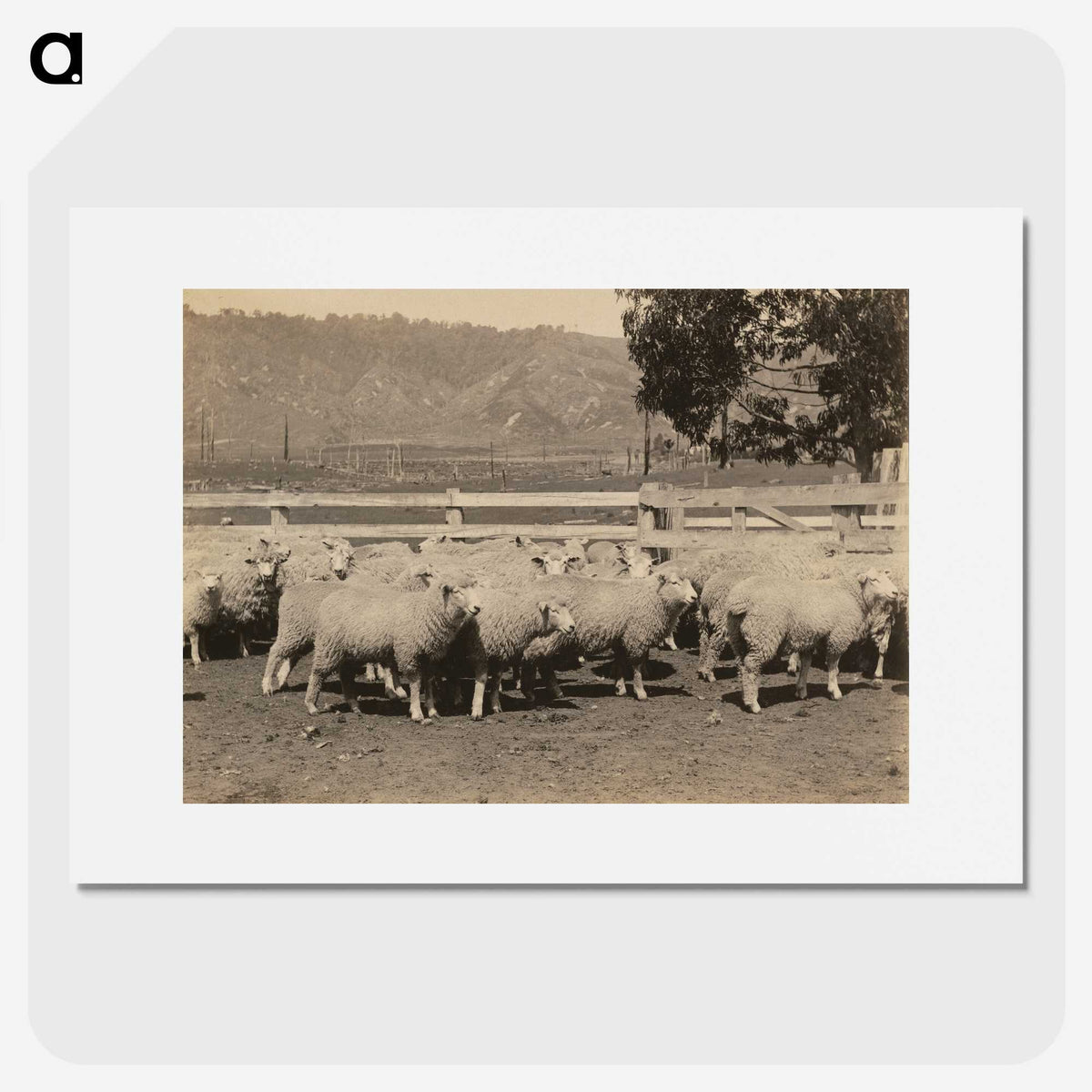 3-40_Leslie-Adkin_picture