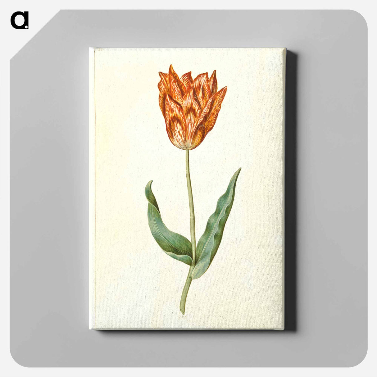 アートパネル-Tulipa Gesneriana
- マリア ジビーラ メーリアン Canvas.