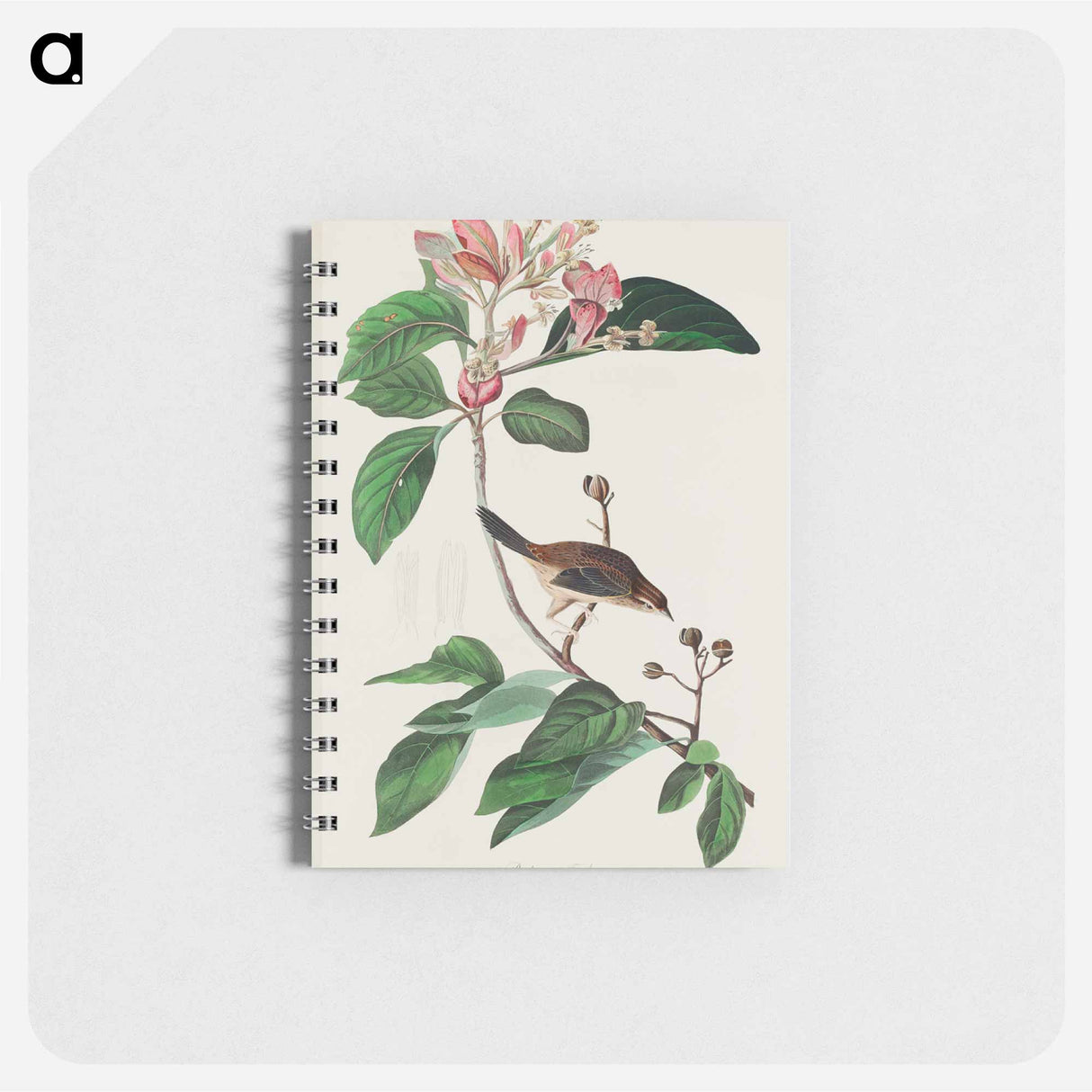 アートメモ帳-Bachman's Finch from Birds of America
- アメリカの鳥たち Memo.