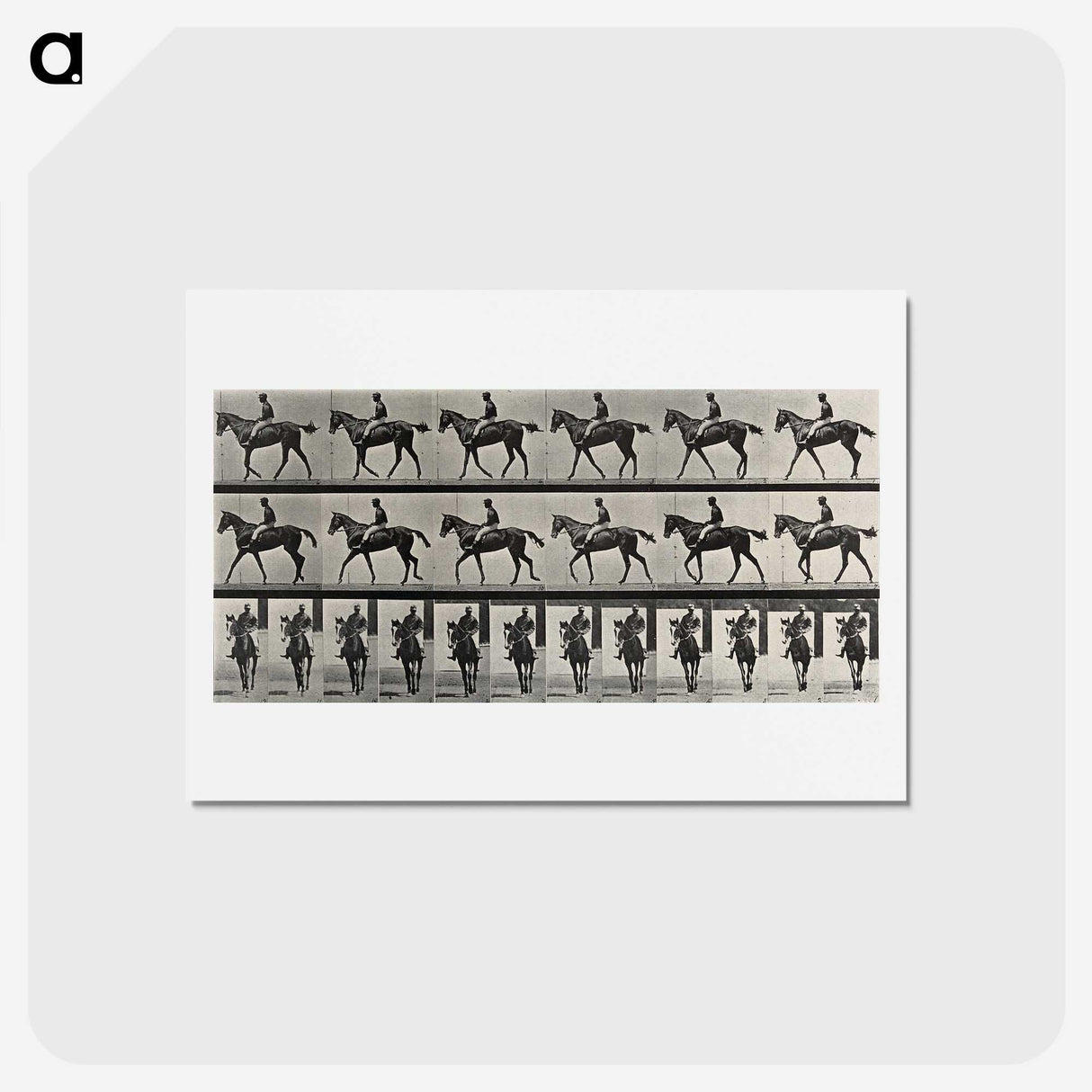 3-41_Eadweard-Muybridge_hagaki