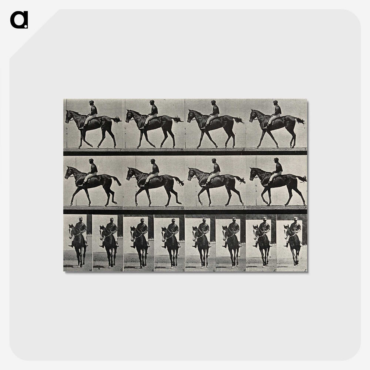 3-41_Eadweard-Muybridge_postcard