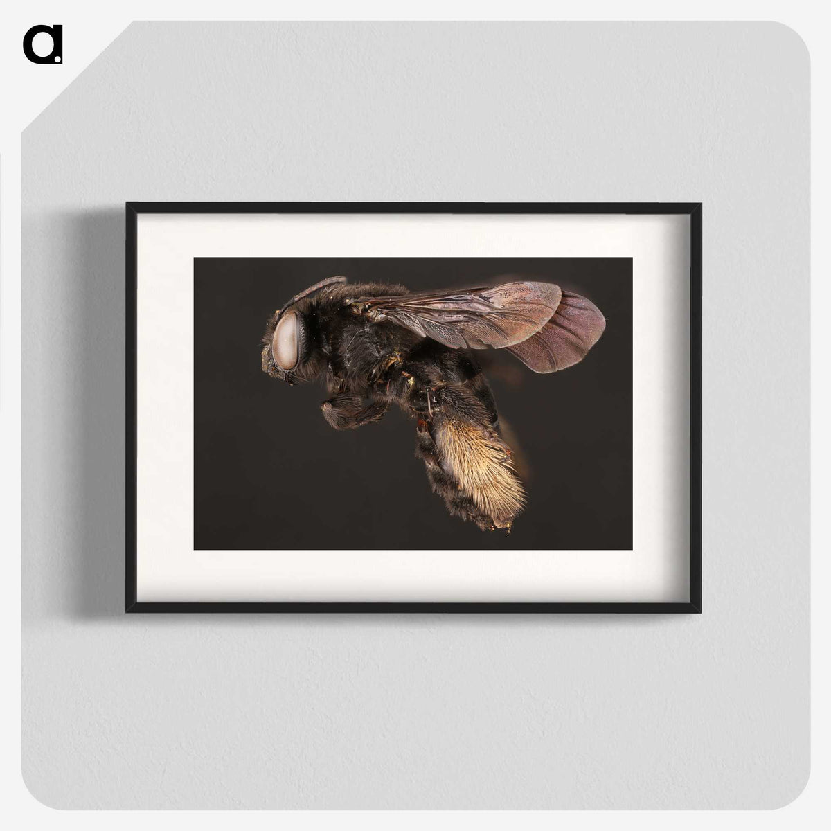 3-41_Insects-Unlocked-Project_blk