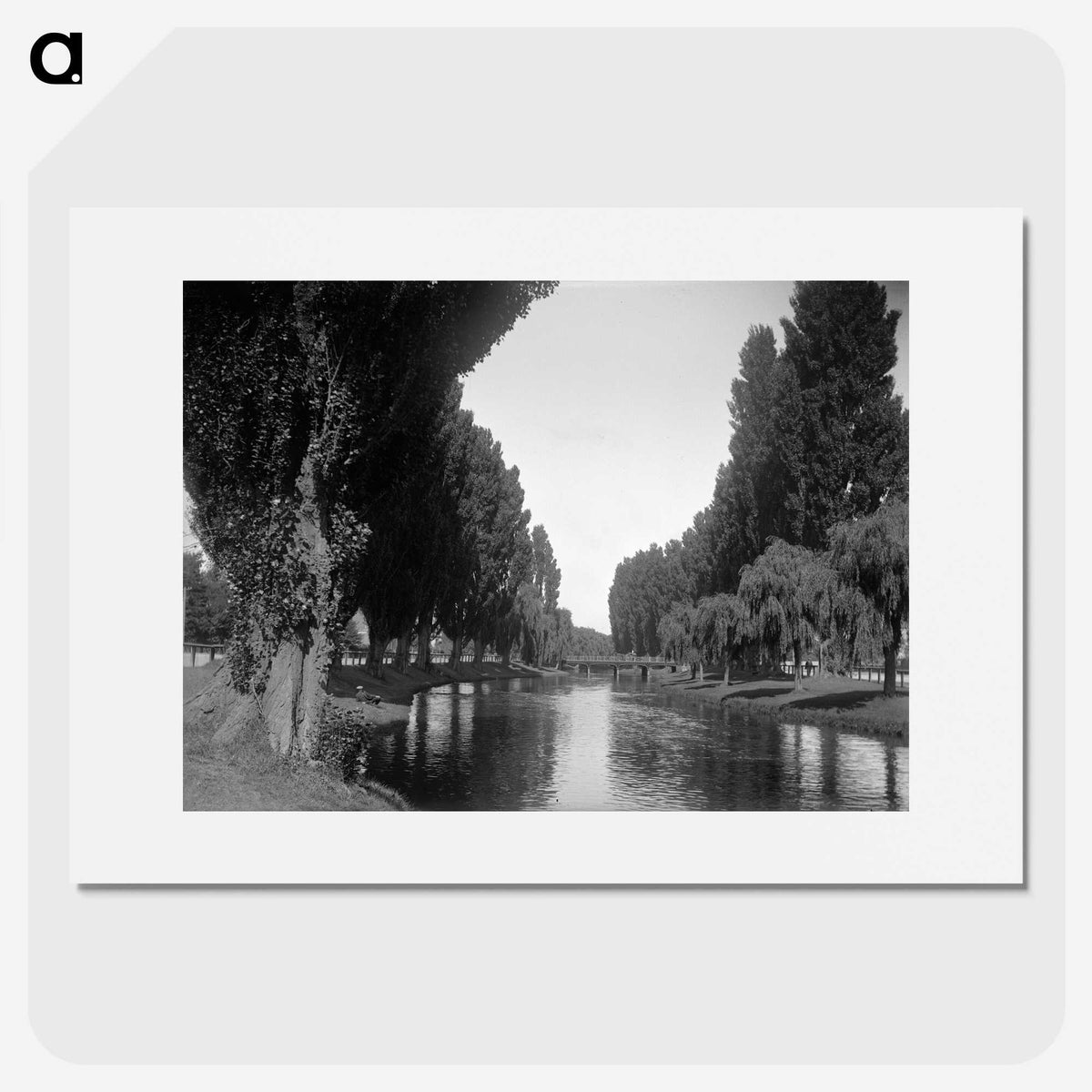 3-41_Leslie-Adkin_picture