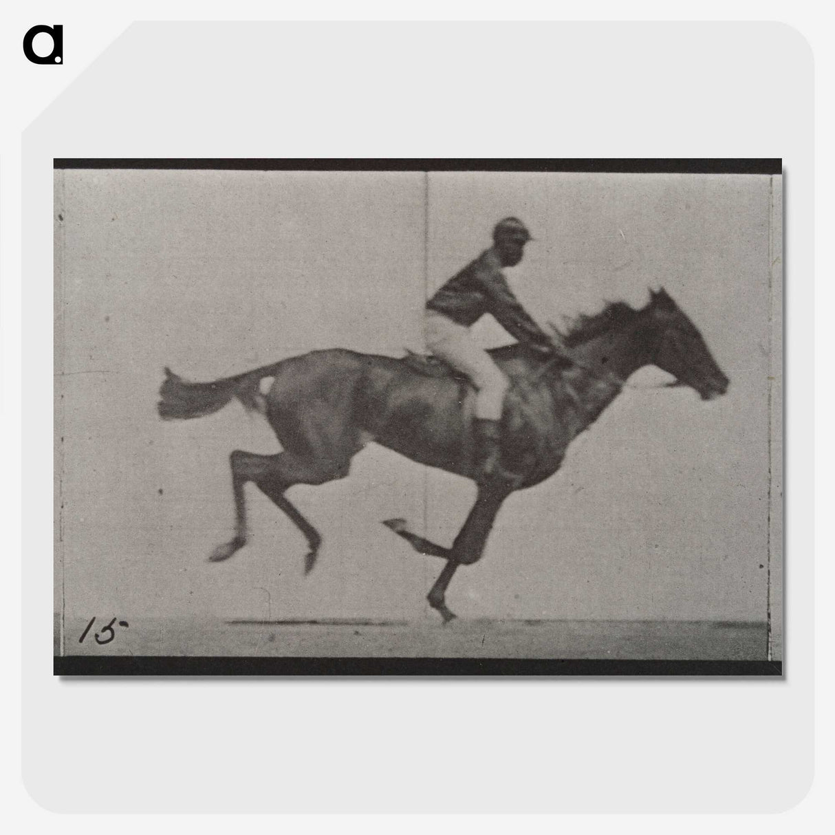 3-42_Eadweard-Muybridge_picture-crop