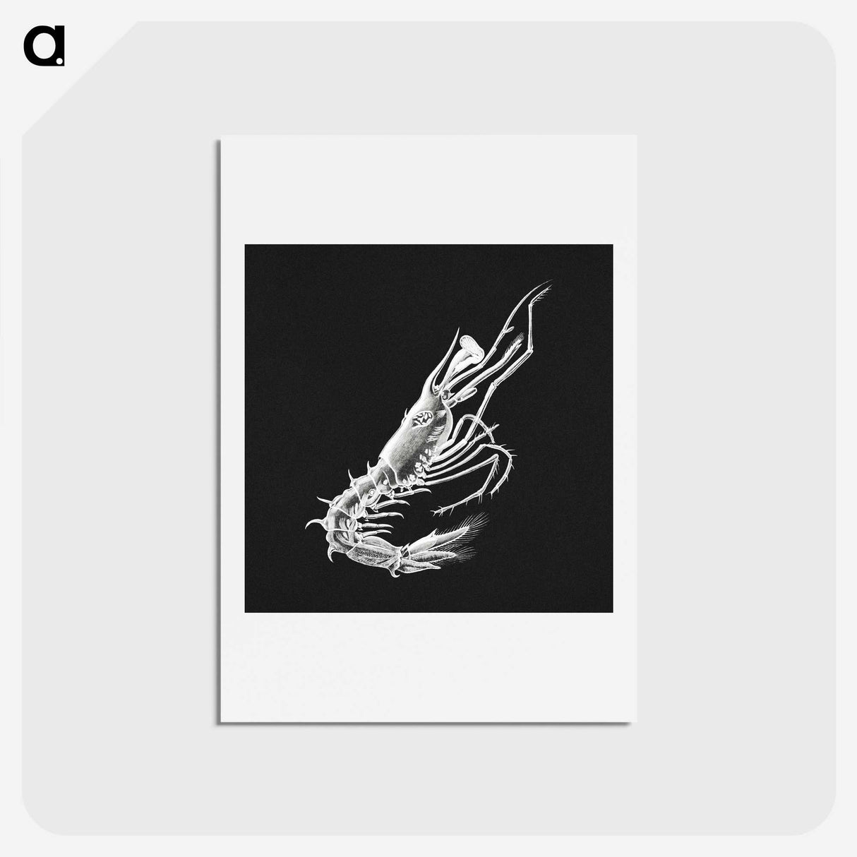 3-42_Ernst-Haeckel_hagaki