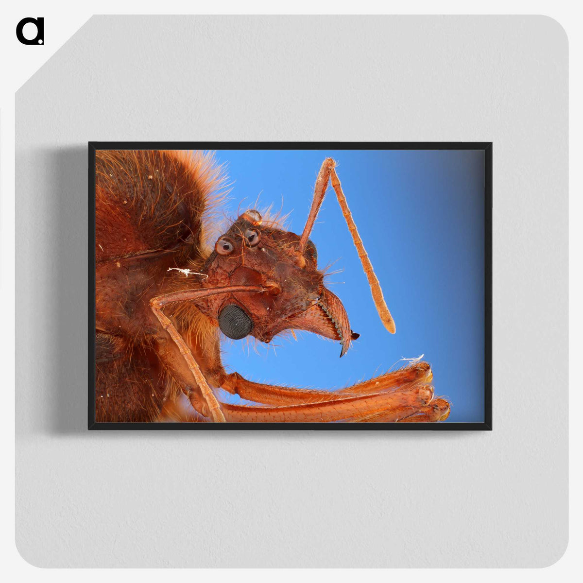 3-42_Insects-Unlocked-Project_blk-crop