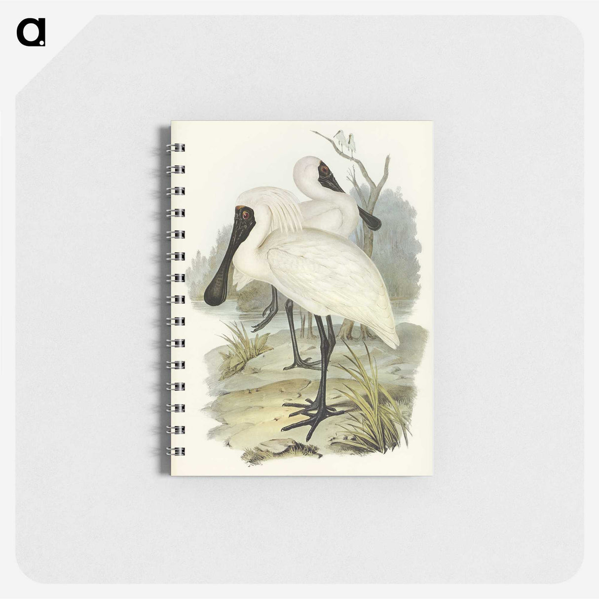 3-42_John-Gould_memo