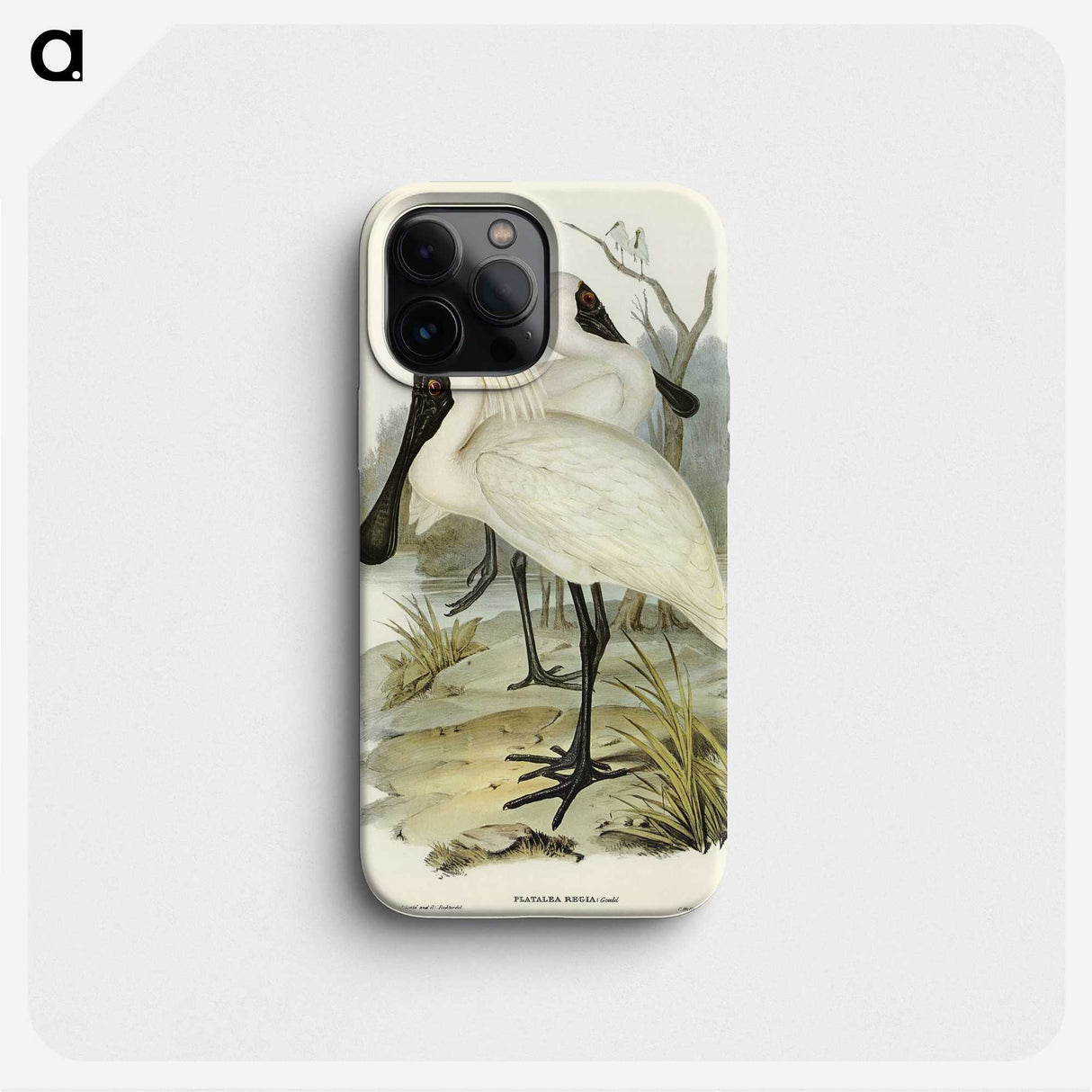 3-42_John-Gould_phone