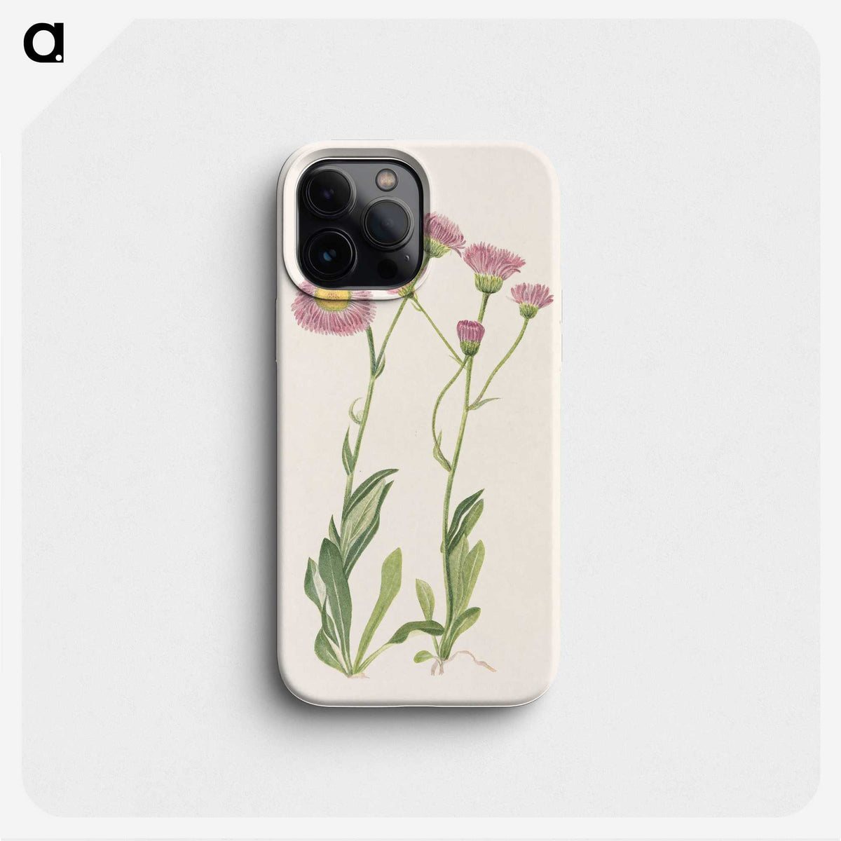 3-42_Mary-Vaux-Walcott_phone