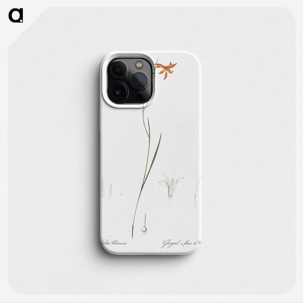 3-42_The-Lilies_phone