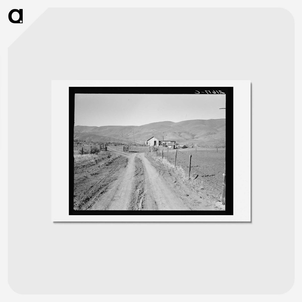3-43_Dorothea-Lange_hagaki