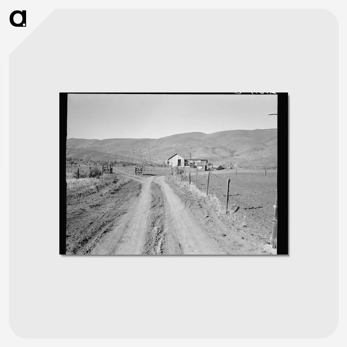 3-43_Dorothea-Lange_postcard