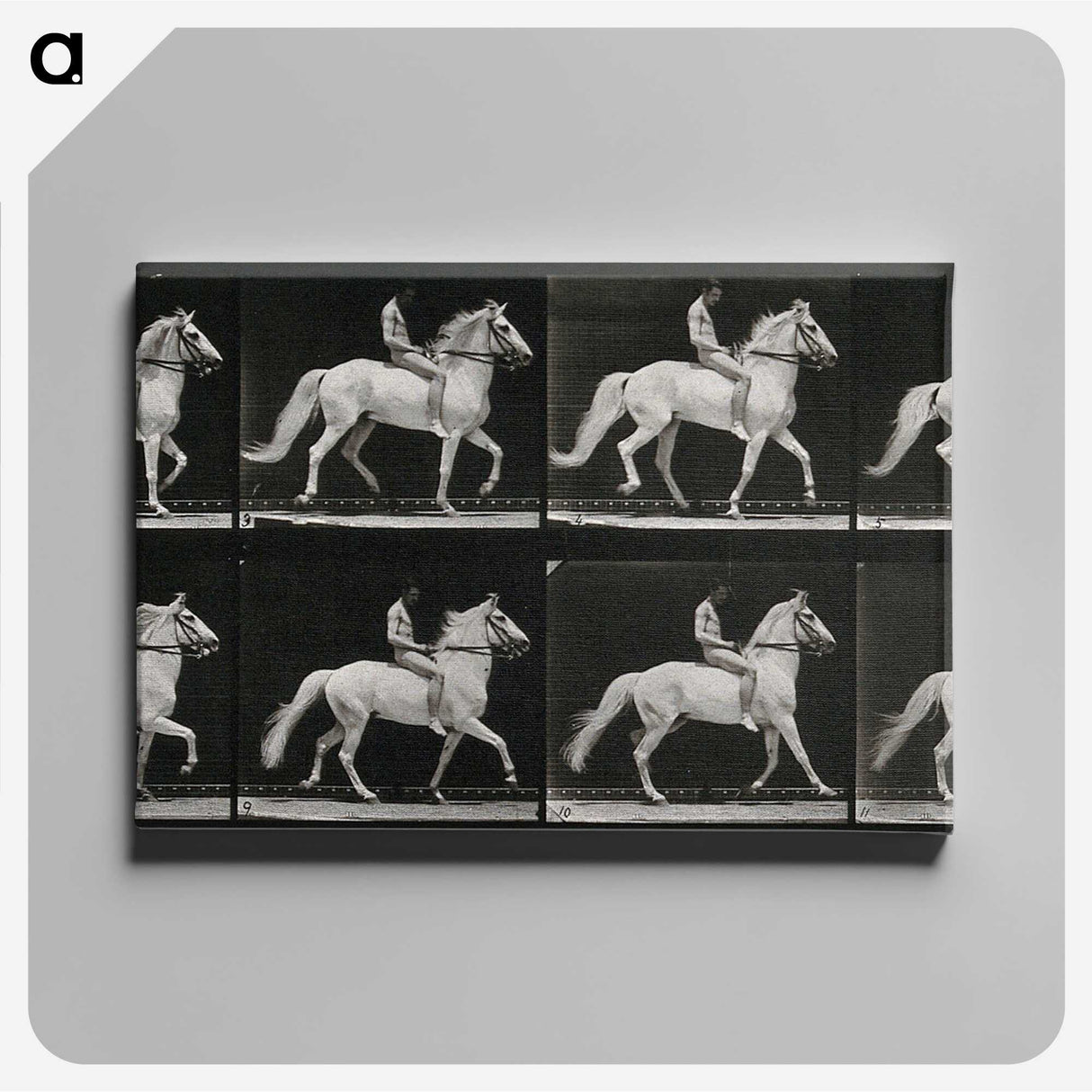 3-43_Eadweard-Muybridge_canvas