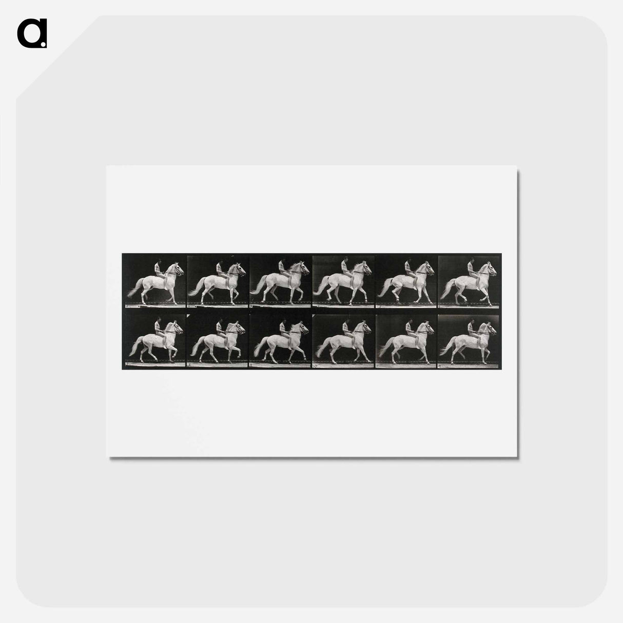 アートポストカード-Walking Horse
- エドワード マイブリッジ Postcard.