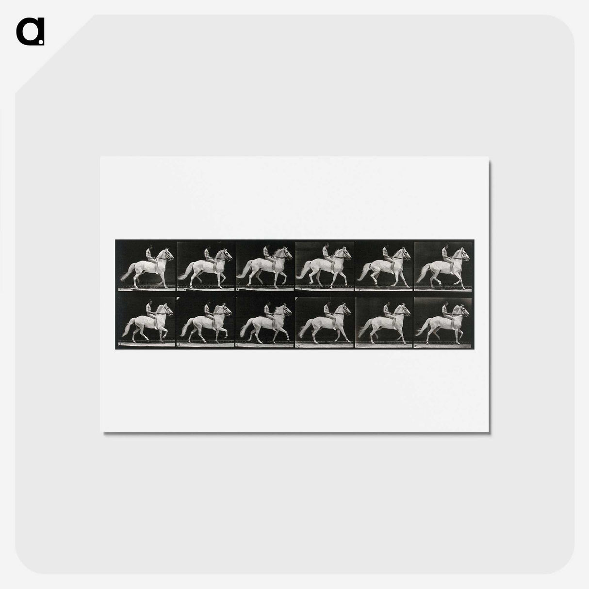 3-43_Eadweard-Muybridge_hagaki