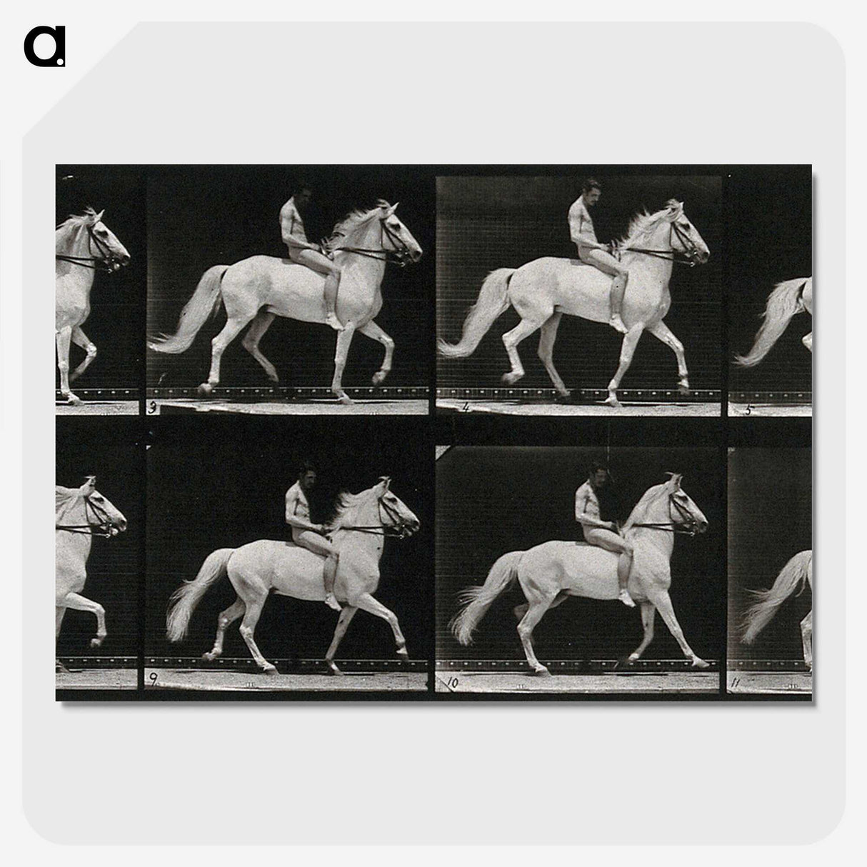 3-43_Eadweard-Muybridge_picture-crop