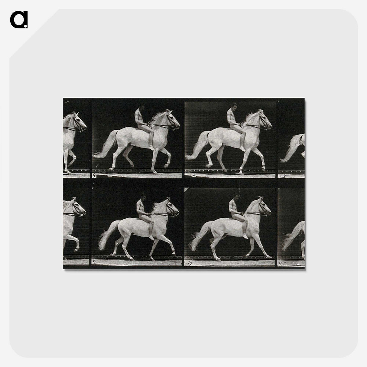 3-43_Eadweard-Muybridge_postcard
