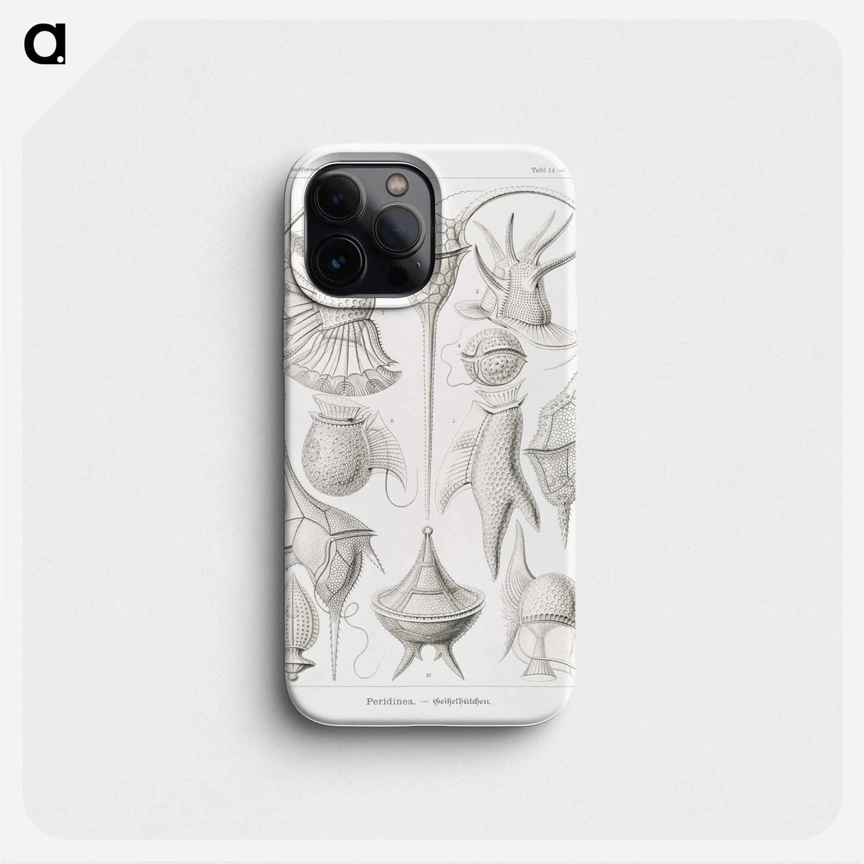 Peridinea–Geikelhütchen - エルンスト ヘッケル Phone Case.