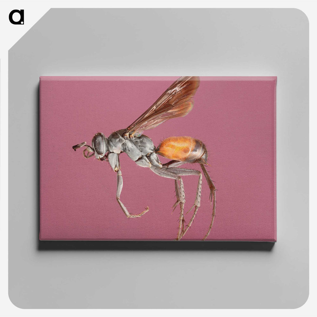 3-43_Insects-Unlocked-Project_canvas