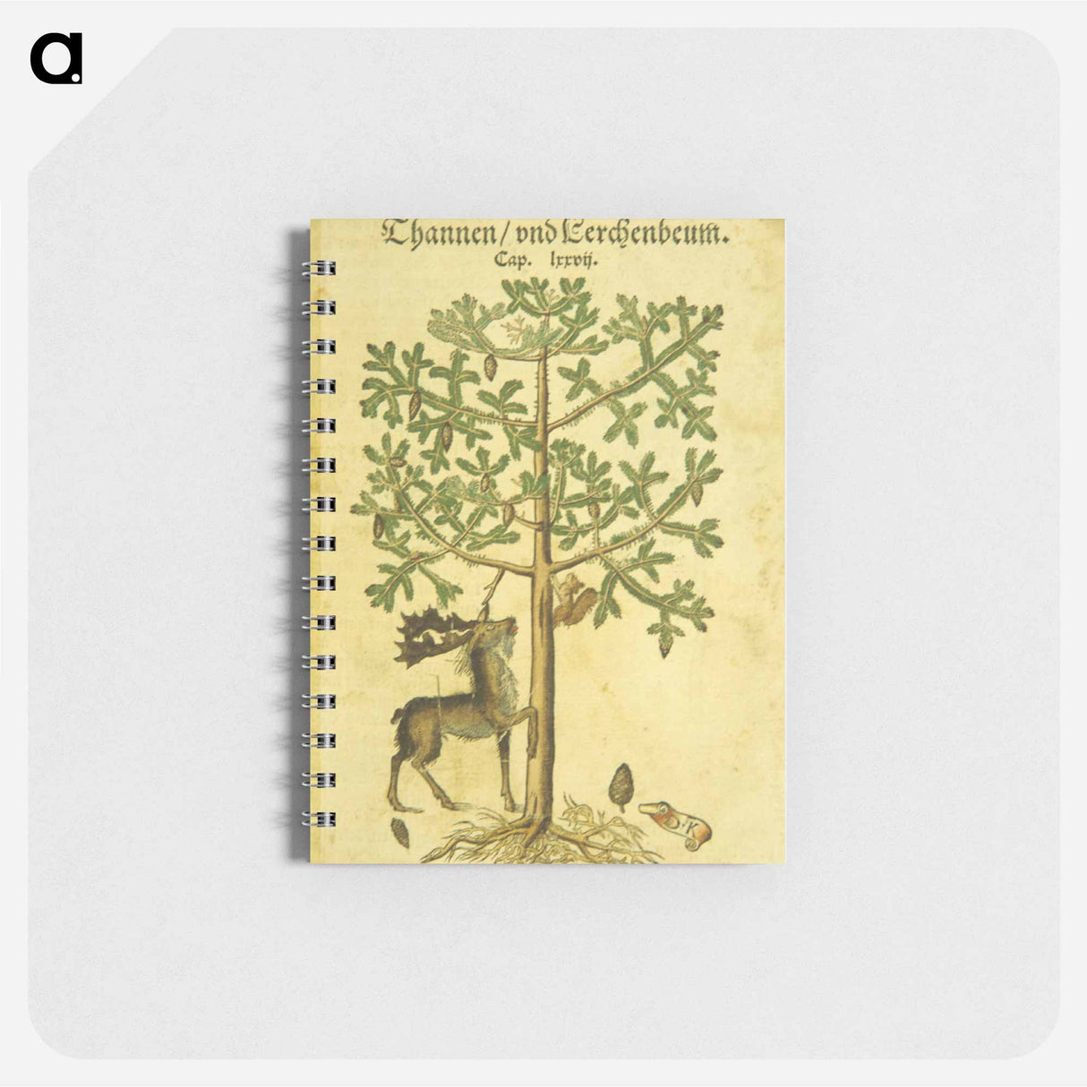 アートメモ帳-Thannen und Cerchenbeum
- 国立医学図書館 Memo.