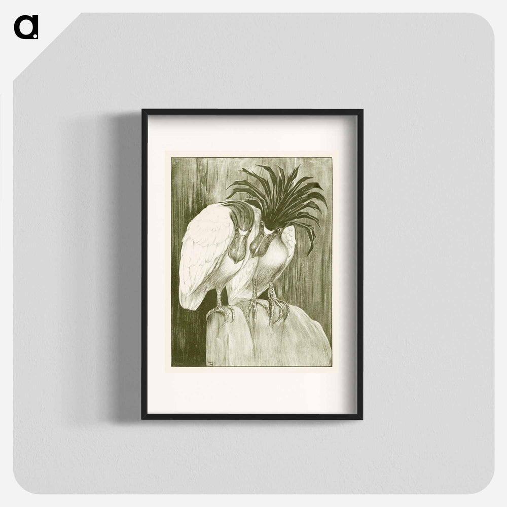 Twee schuitbekreigers - Theo van Hoytema Poster.