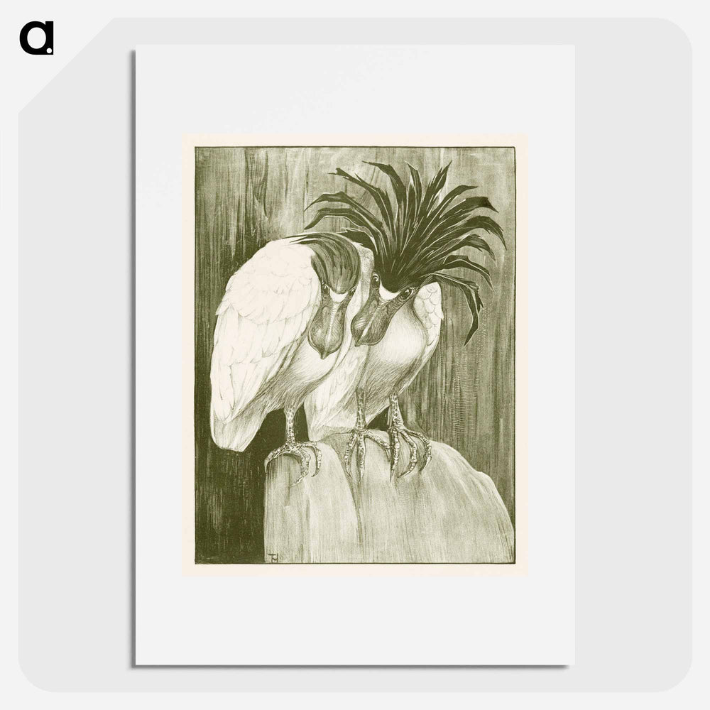 Twee schuitbekreigers - Theo van Hoytema Poster.