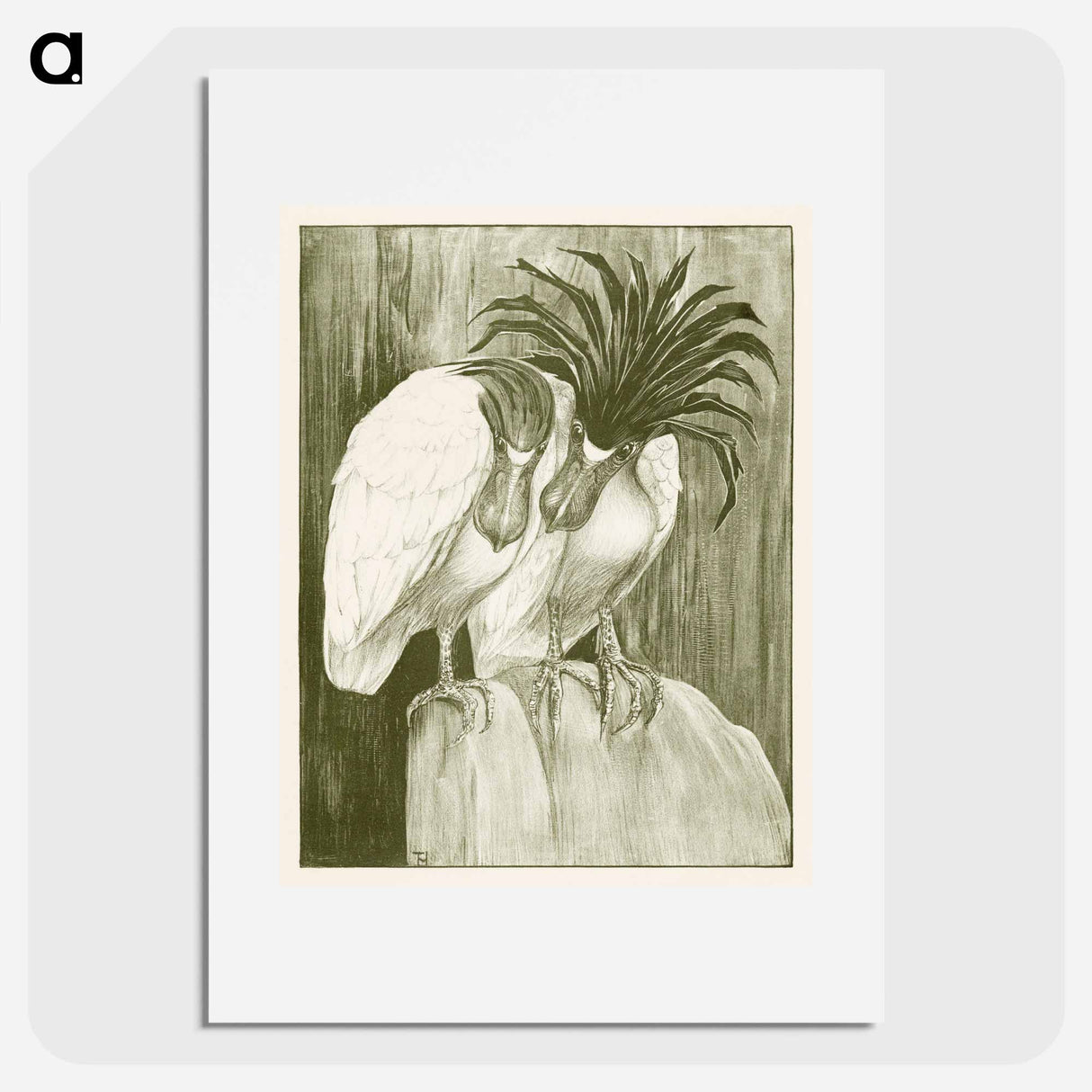 Twee schuitbekreigers - Theo van Hoytema Poster.