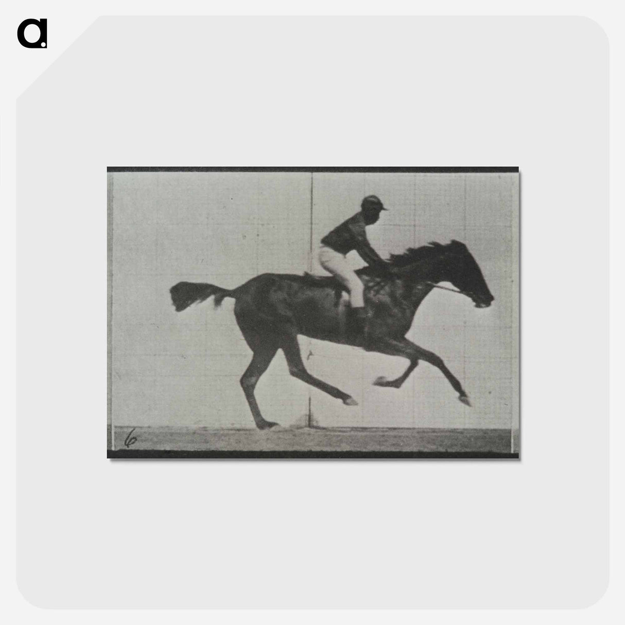 アートポストカード-Galloping Horse and Rider
- エドワード マイブリッジ Postcard.