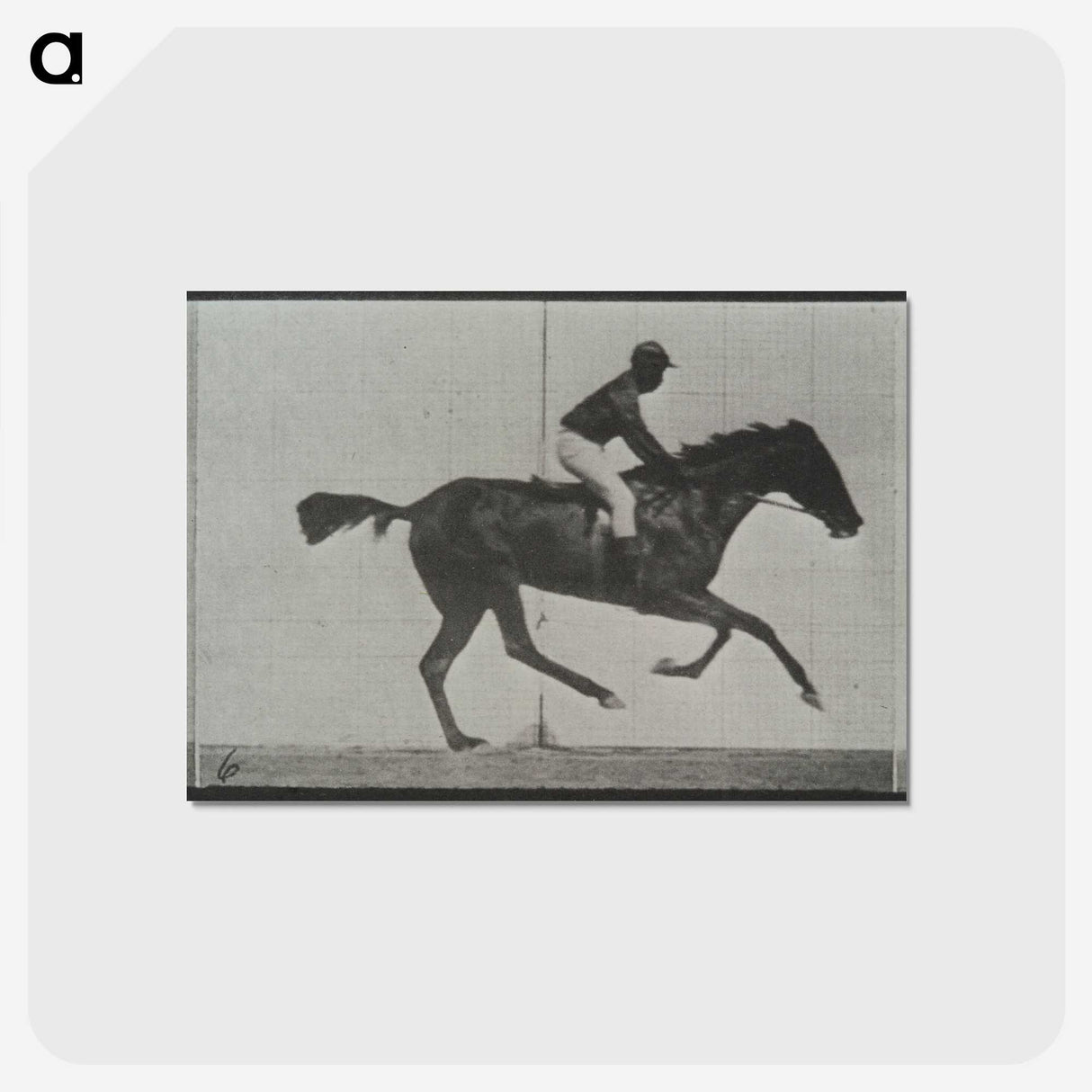 3-44_Eadweard-Muybridge_postcard