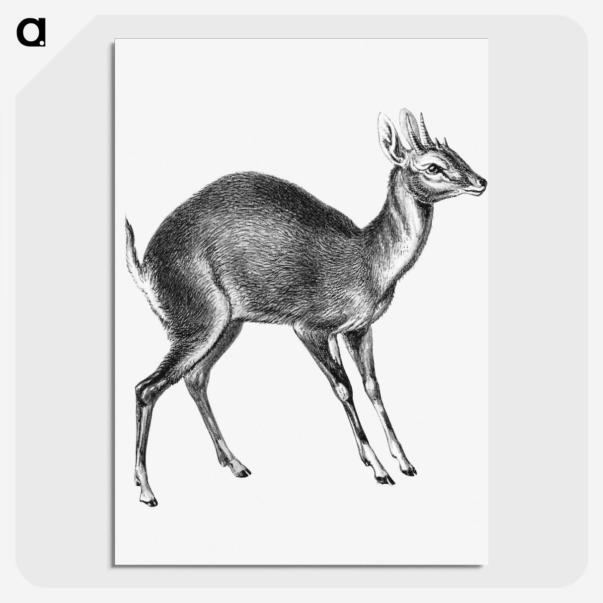 3-44_Ernst-Haeckel_picture-crop