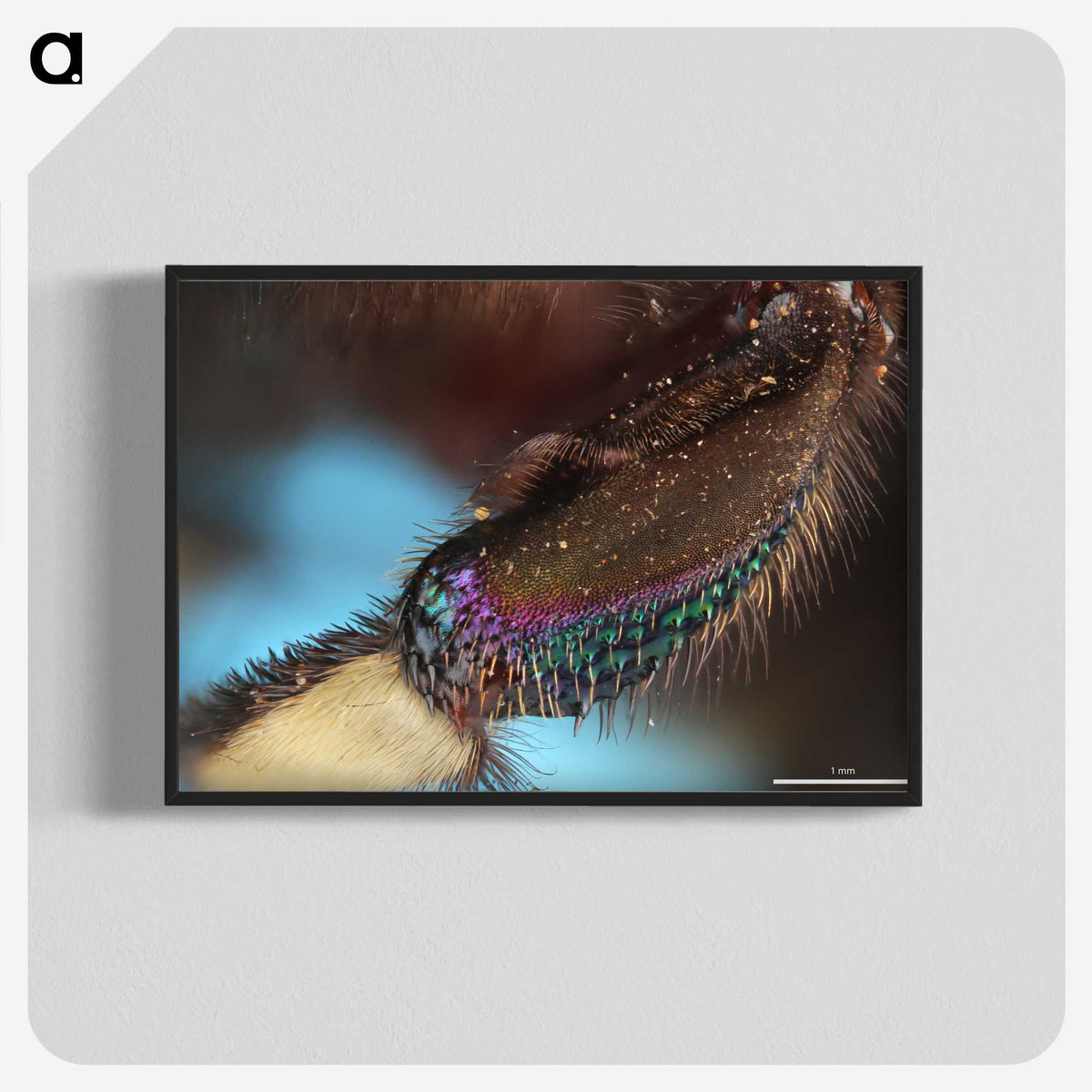 3-44_Insects-Unlocked-Project_blk-crop