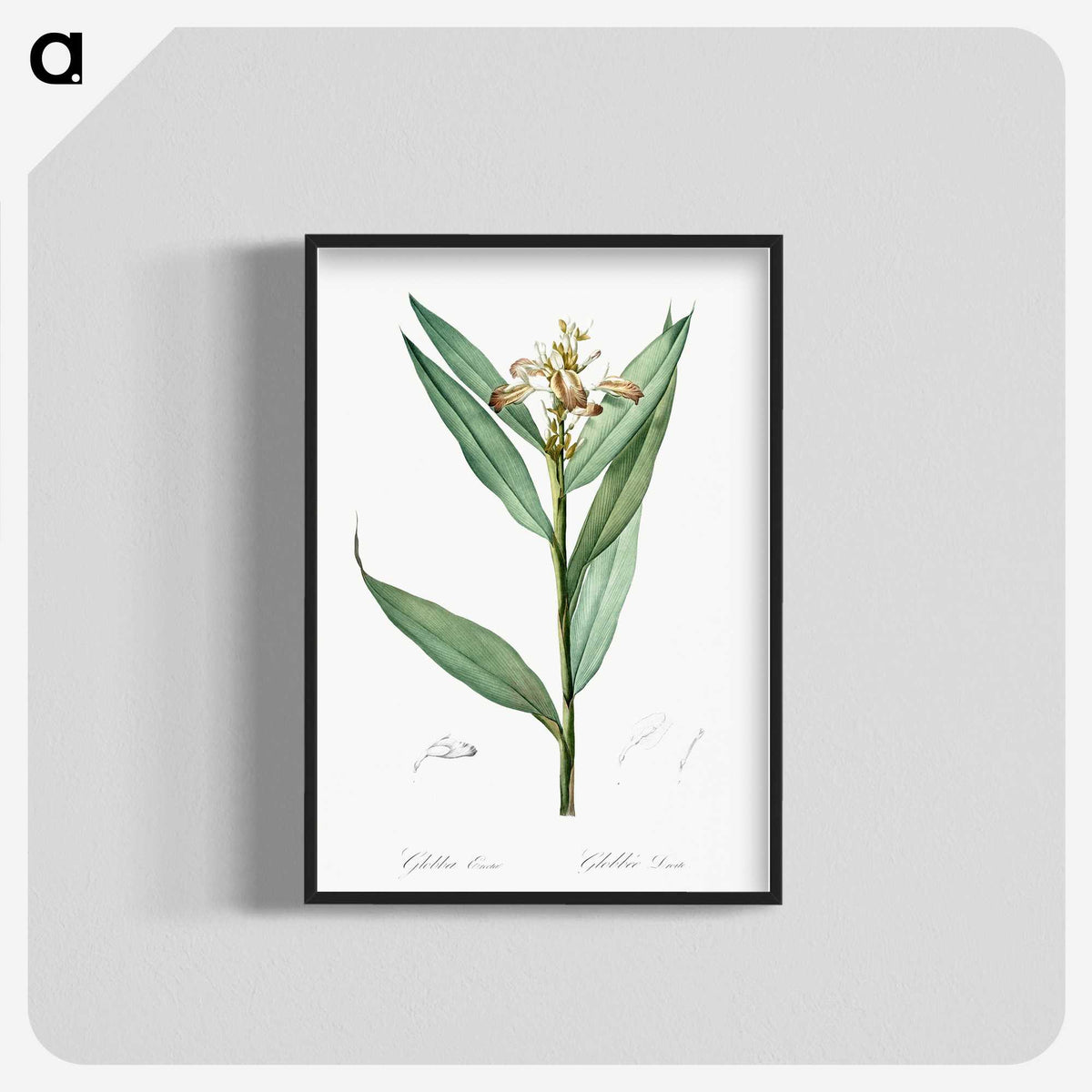 3-44_The-Lilies_blk-crop